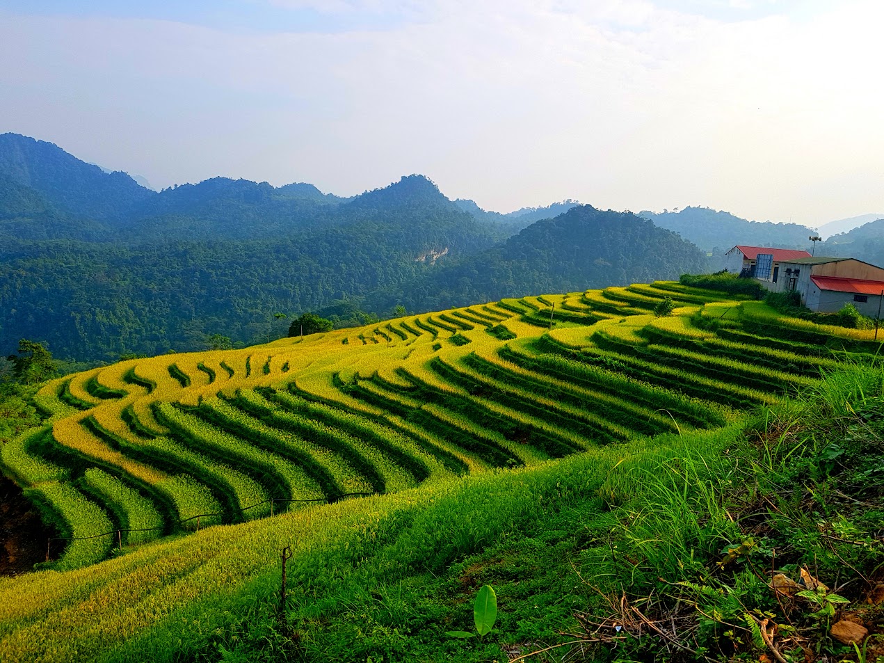 Ha Giang Motorbike tour